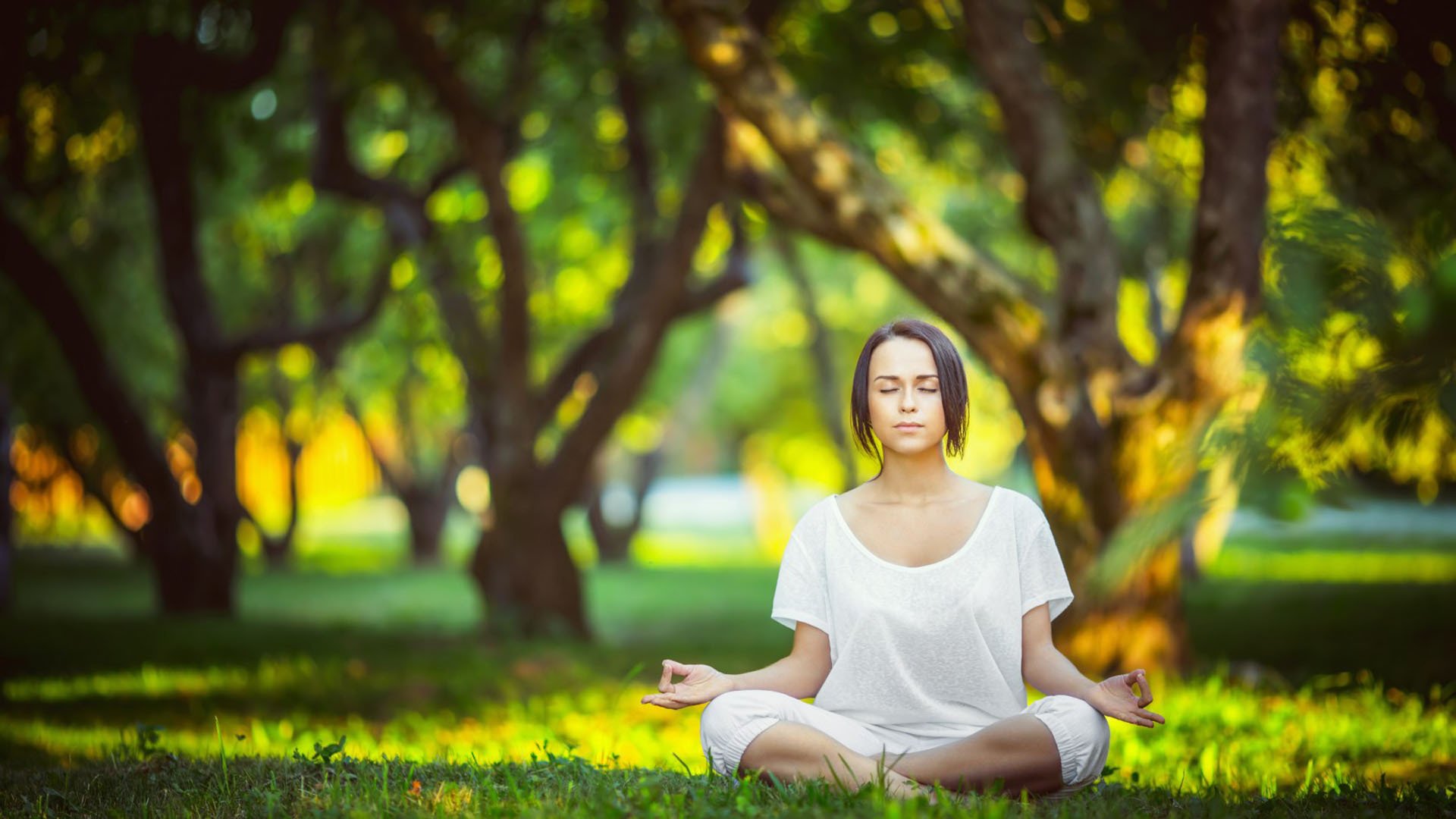 开云网页版登录入口-豪门夜宴，里程碑与绝杀交织的疯狂一夜